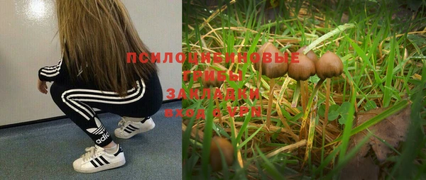 круглые Михайловка