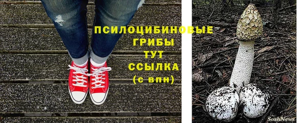 соль ск Медвежьегорск